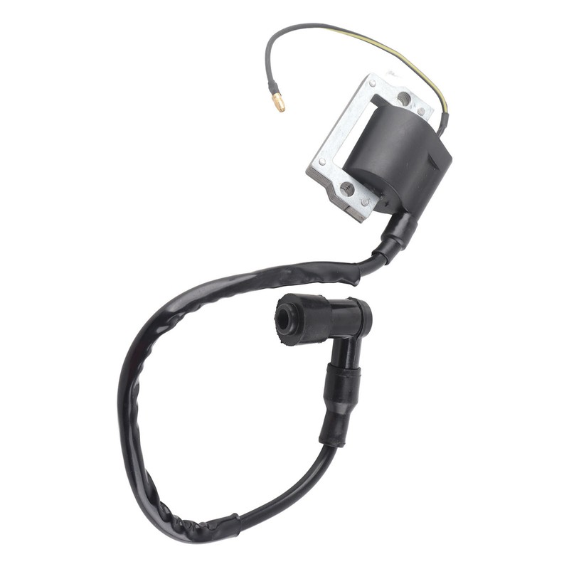 Ignition Coil Module Pulse Generator Replacement for G1 2‑Cycle 1979‑1989