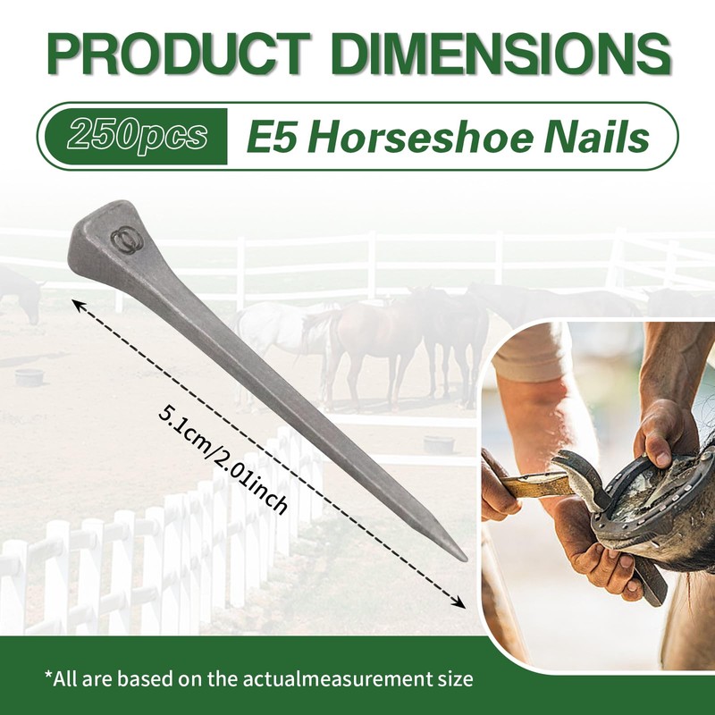 USUNFARM 250pcs Horseshoe Nails E6 Stainless Steel,2 Inches Easy Carry