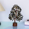 Black Tourmaline - Gemstones Tree - Bonsai Tree - Crystal