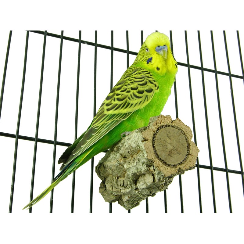 VogelKing 2 Knabber-Korkast Sitzstangen