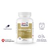 ZeinPharma Ashwagandha Extract 120 Capsules 500 mg - Ashwagandha Root