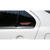 MONSTER SPORT NEWモンスタースポーツステッカー 小 169×40mm 896109-0000M