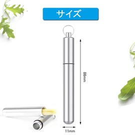 Phyxiul Toothpick Box, Portable, Cotton Swab, Case, Lightweight, Convenient, Waterproof, Moisture Resistant, Pressure Resistant, Small Storage (Silver)