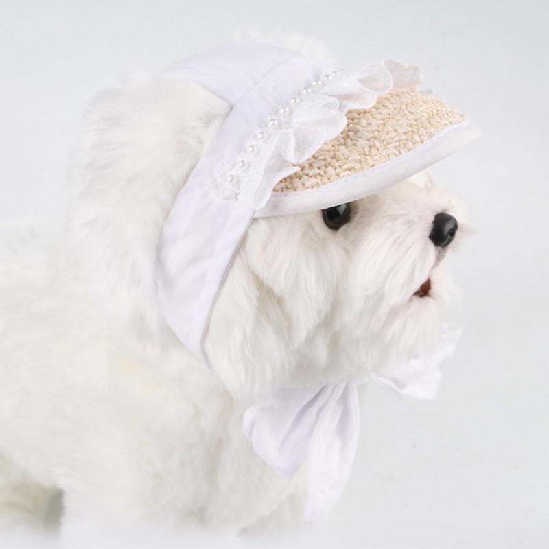 BT Bear Hundehut, Spitzenstrohhut, Baseballkappe, Haustier-Sonnenschutz für Katzen, Welpen, kleine,