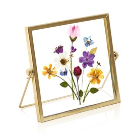 HyzaPhix Picture Frame for Pressed Flowers, Flower Frame, Photo Frame, Pressed Flower Frame for Pressed Flowers, Plant Sample, Photo, Gifts for Women, Best Friend (Gold 15 x 15 cm)