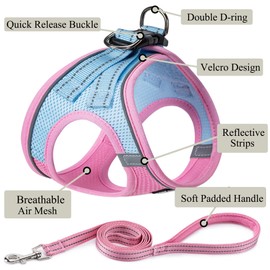 Dog Harness with Leash Set, No Pull Adjustable Reflective Step-in Puppy Pet Vest Harnesses for Small Medium Large Dogs and Cats,Pink Green XL