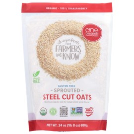 One Degree Organic Foods, Gluten-Free Sprouted Steel Cut Oats, USDA Organic, Non-GMO Gluten Free Cereal, 24 Oz (Pack of 4)