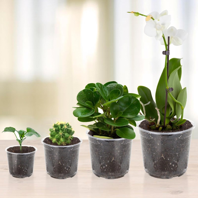 OUPSAUI 36 Pack 7/6/5/3.5 Inch Clear Nursery Pots with Drainage,