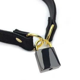 Succuba Padlock Choker Collar Necklace Lolita Collar Cat Kitty Velvet Necklace with Lock and Key (E, 18)