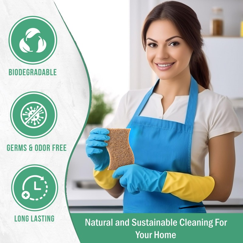 12 Pack Natural Kitchen Sponges, Compostable White Cellulose & Organic