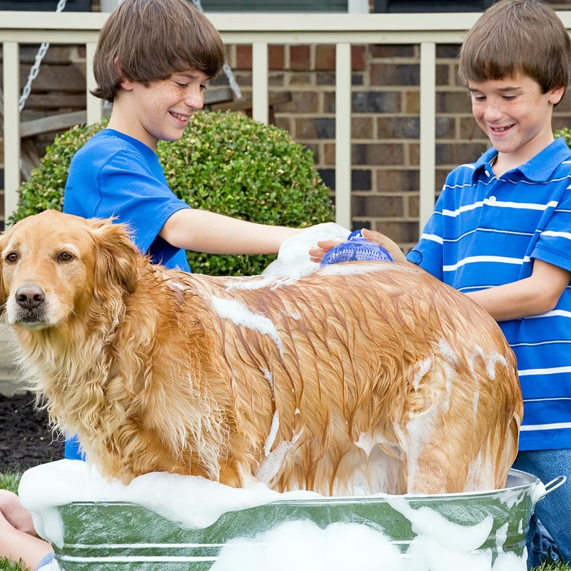 Dog Grooming Brush, Lilpep Pet Shampoo Bath Brush Soothing Massage
