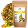 1.8 oz. Goldenrod Tea Herb Golden Root (Solidago virgaurea L.)