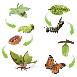 JISRKP 8pcs Caterpillar to Butterfly Kit, grow butterfly kit, Butterfly Kit, Butterfly Growth Cycle Biological Model, Preschool Learning Teaching Toy, for Kids Teaching Tools Educational Toys