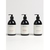 Hand & Body Wash 500ml 3-pack SET (Choose 1 of