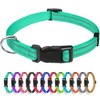 TagME Reflective Nylon Dog Collars, Adjustable Classic Pet Collar with