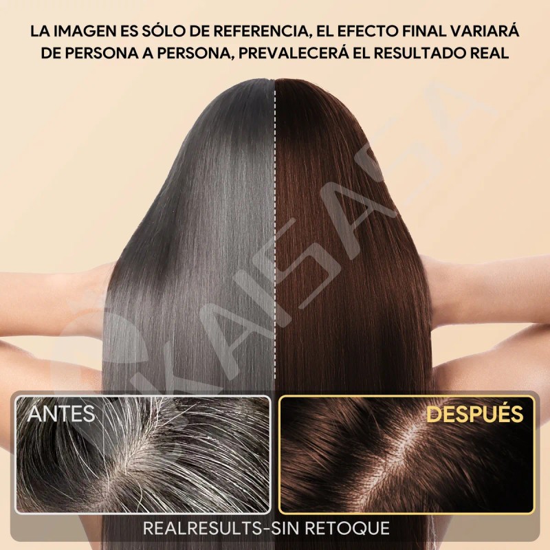 Kaisasa Shampoo Con Aceite De Argn Tinte Cubre Canas 2
