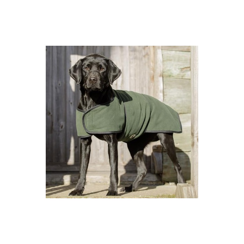 Dog & Field Duel Layer Towelling Coat, Olive Green, XXL