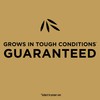 Scotts EZ Seed Patch & Repair Tall Fescue Lawns Combination