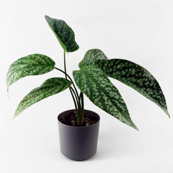 Leaf Design UK Realistic Artificial Foliage Plant with Pot, 35cm, Spotted Plant Planter