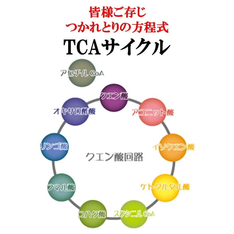 つかれず粉 170g お試し クエン酸 サプリ 【説明書付】TRAUM (2袋セット)