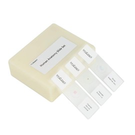 Prepared Human Tissue Anatomy Microscope Slides Set, 17pcs Hand-Prepared Slides Survey The Major Tissues and Organs of Human Body Dedicated to Human Physiology