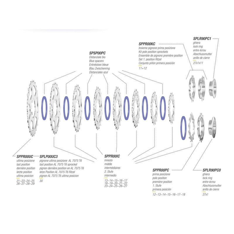 Miche Unisex's Primato 10 Speed Cassette, Campagnolo, 12/25