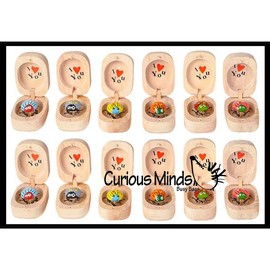 Love bug in Box Novelty Gift - Bugs Legs Wiggle So it Looks Alive - Wooden Hinged Box Nut Ladybug - Style: 12 RANDOM COLOR Bug Boxes (1 Dozen)