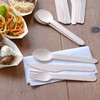 GRÄWE Disposable Cutlery Wooden Spoons 100 Pieces Wooden Cutlery Eco