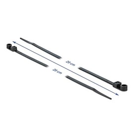 DeLOCK Cable Ties with Mounting Eye L 200 x W 4.8 mm Black Pack of 10