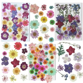 Dried Pressed Flowers for Resin, Real Flowers Dry Leaves Bulk Natural Herbs Kit for Scrapbooking DIY Art Crafts, Epoxy Resin Jewelry Molds, Candle, Soap Making, Nails Décor (Flower, 125 Pcs)