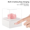 Rose Night Light Romantic Small USB Charging Soft Brightness Decoration
