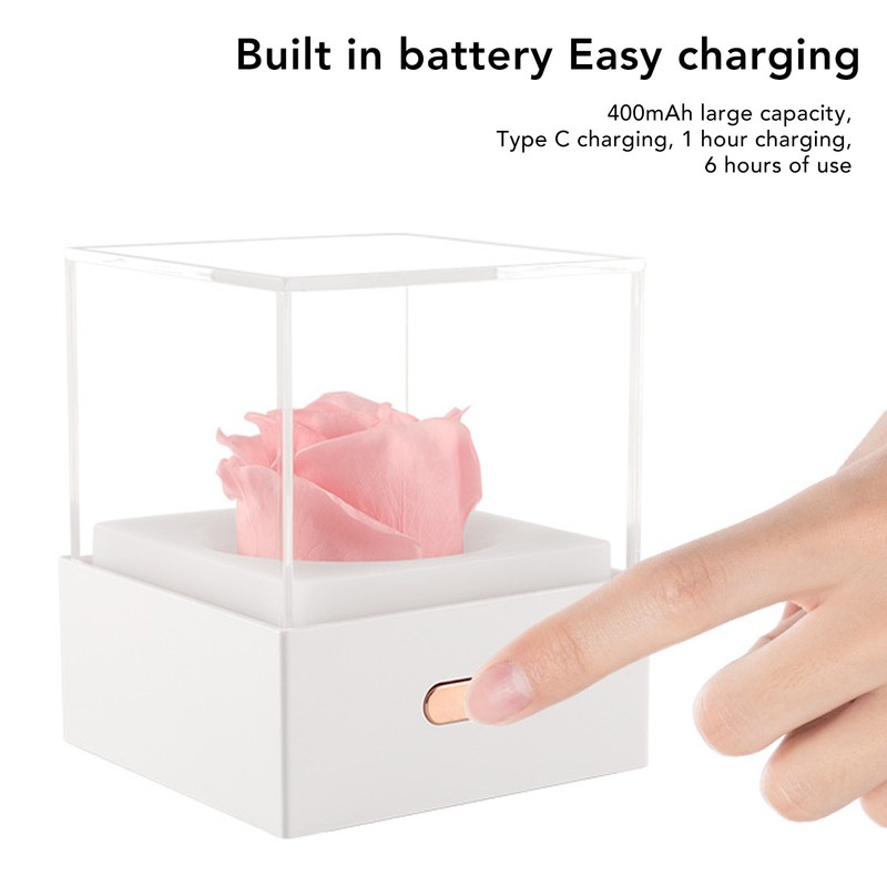 Rose Night Light Romantic Small USB Charging Soft Brightness Decoration