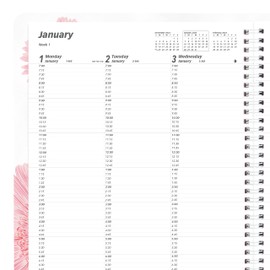 Brownline 2024 Pink Essential Weekly Planner, Appointment Book, 12 Months, January to December, Twin-Wire Binding, 11" x 8.5", Pink Daisy Design (CB950G.05-24)