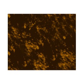 Golden Gate Acoustic Guitar Pickguard (F-4118)