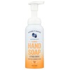 Hand In Hand Citrus Grove Foaming Hand Soap, 8.5 Fz