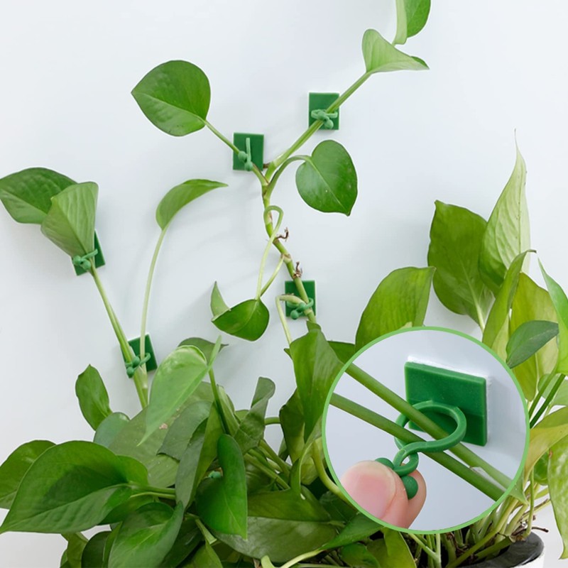 iTYOOS Pack of 100 Plant Clips, Wall Plant Clips, Wall