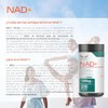 ETERNAL NUTRITION Essentials: NAD+ Puro con TMG y Alfa Lipoico