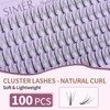 Individual Lashes 100 Clusters Eyelashes Extensions C Curl Natural Fairy