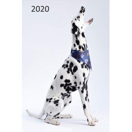 2020: Dog Diary, Planner, Organiser - Week Per View - Gift for Dog Lover - DALMATION