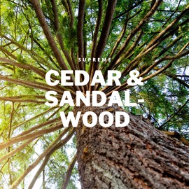 Beard Balm Cedarwood Sandalwood Scented | Hair Growth & Moisturiser | Bartstoppel© Barber Company | Supreme Care for Men