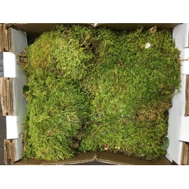 Fresh Sheet Moss. 3 to 5lb Box.