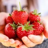 HXHWKEN 20Pcs Artificial Strawberry Simulation Lifelike Plastic Red Strawberries Fake