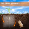 YBB 6PCS Root Guard Baskets, Gopher Wire Speed Baskets, Stainless