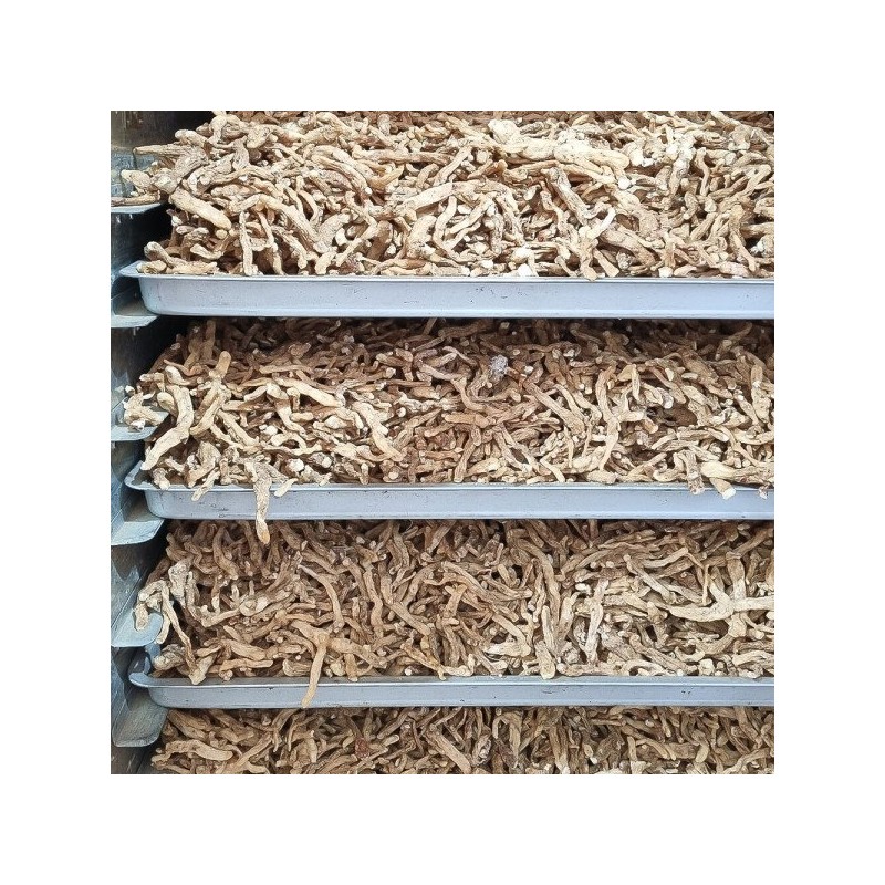 자연닮음 국산 볶은 둥굴레 300g 황정 둥굴레차 Natural Imitation Domestic