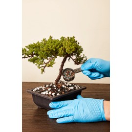 Organic Bonsai Fertilizer by The Bonsai Supply – 3Lbs | Quick Results | Micro Nutrients for Vital Bonsai Health.