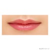 Kanebo Moisture Rougeeo Lipstick 301 Tint Redwood 0.1 oz (3.4