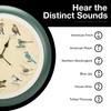 Mark Feldstein, The Original Singing Bird Wall Clock, 13 Inch,