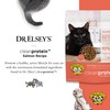 Dr. Elsey's Cleanprotein Salmon Formula Dry Cat Food, 6.6 Lb