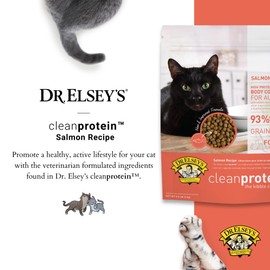 Dr. Elsey's Cleanprotein Salmon Formula Dry Cat Food, 6.6 Lb