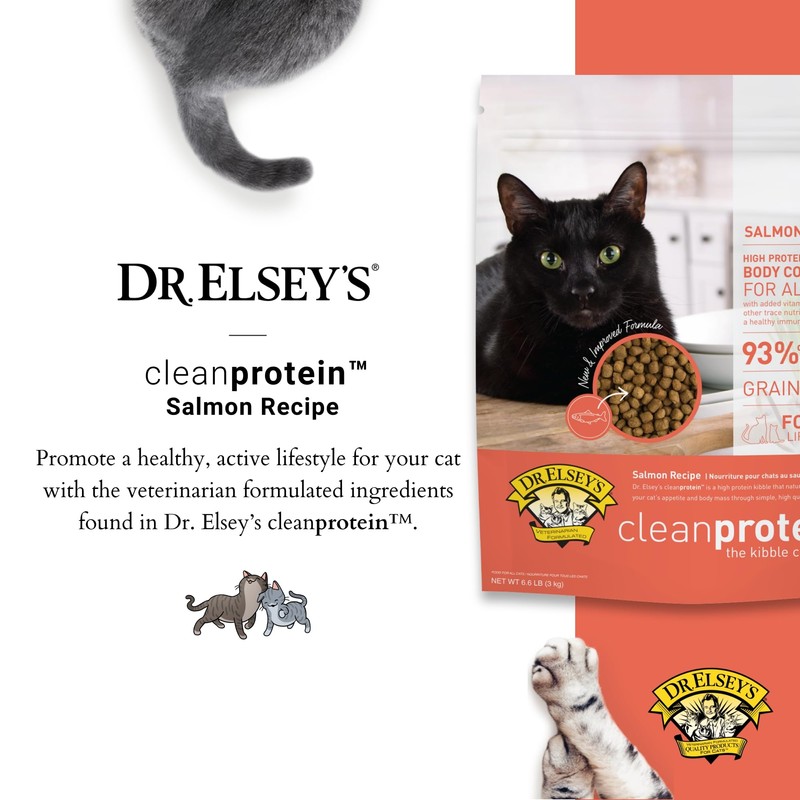 Dr. Elsey's Cleanprotein Salmon Formula Dry Cat Food, 6.6 Lb
